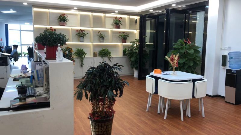 夫妻创业股权分配：如何平衡利益与风险